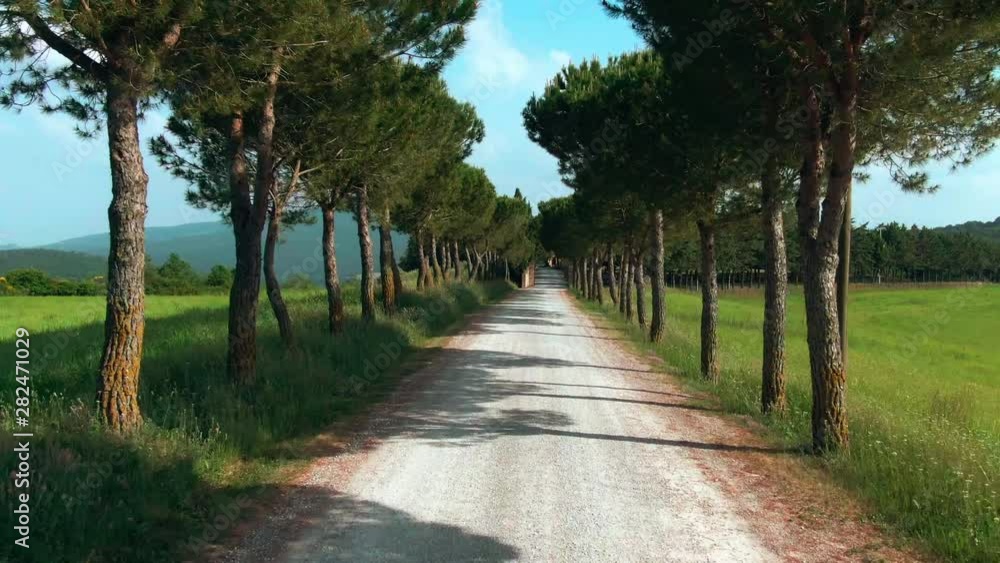 Driving fast to the beautiful Val dÓrcia romantic valley in Tuscany. Amazing rural tree alley in the countryside on sunny day. Summer roadtrip. Driving fast to the beautiful Val dÓrcia romantic valley in Tuscany. Amazing rural tree alley in the countryside on sunny day. Summer roadtrip.