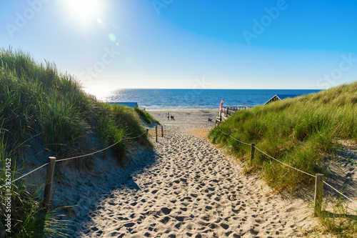 beach access in the dunes of Texel, Netherlands photo