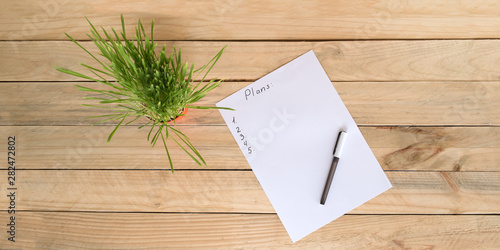 Top view on white sheet of paper with plan and pen, green houseplant. Business planning