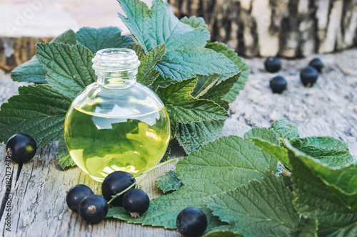 A bottle of black currant extract tincture remedy infusion on the background of old boards. Black currant oil.