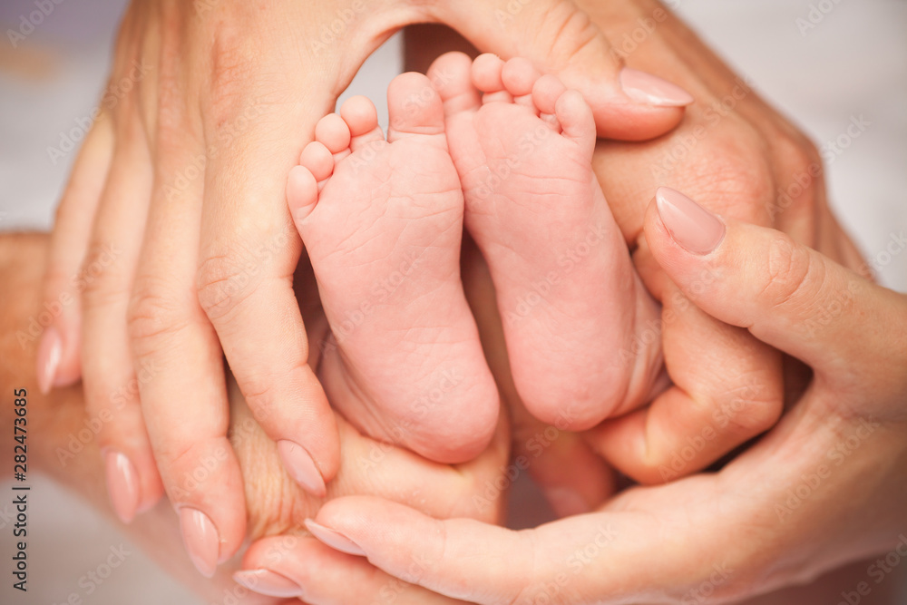 basket, baby, child, human, being, nature, juniper, day, tree, Portugal, life, begining, mother, father, parents, hand, feet, finger basket, baby, child, human, being, nature, juniper, day, tree, Portugal, life, begining, mother, father, parents, hand, feet, finger