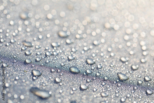 Background design made of water drops on a gray background