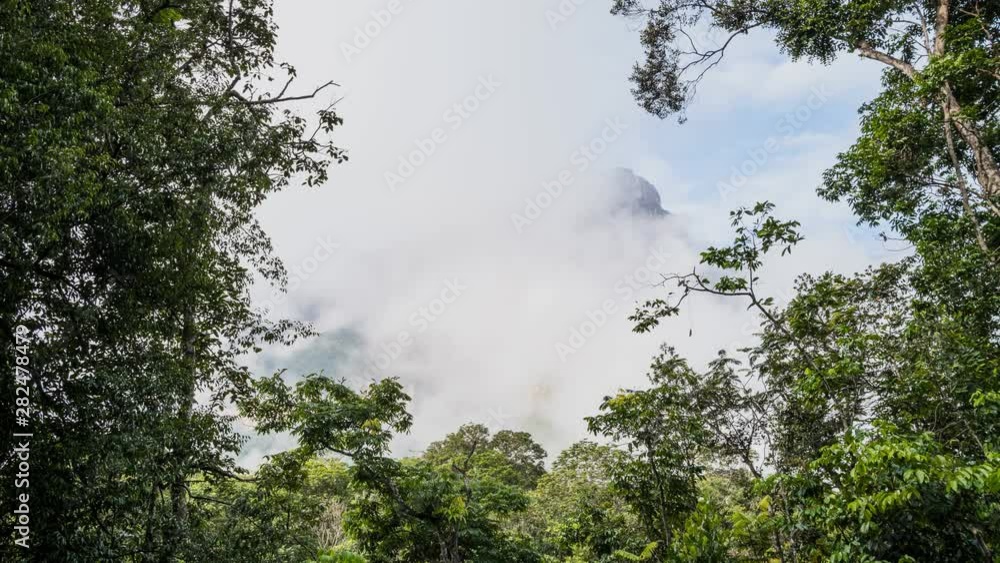 Time-lapse of Angel falls, Canaima National Park, Venezuela