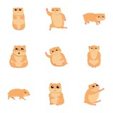Home hamster icon set. Cartoon set of 9 home hamster vector icons for web design isolated on white background