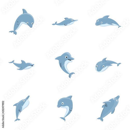Dolphin mammal icon set. Cartoon set of 9 dolphin mammal vector icons for web design isolated on white background
