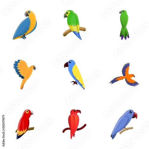 Jungle parrot icon set. Cartoon set of 9 jungle parrot vector icons for web design isolated on white background