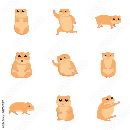 Home hamster icon set. Cartoon set of 9 home hamster vector icons for web design isolated on white background