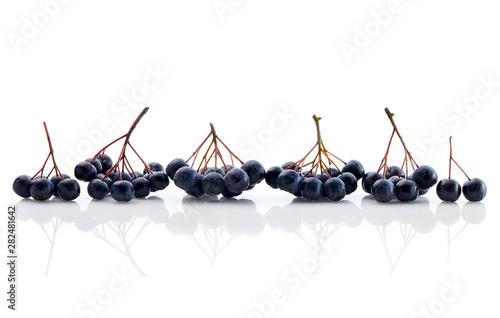 Fresh Aronia Berries