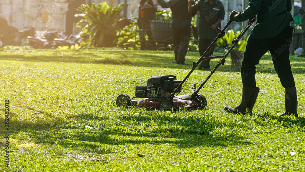 The worker is cutting grass in the public park by the lawnmower. The worker is cutting grass in the public park by the lawnmower.