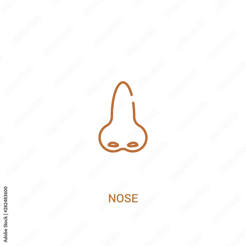 nose concept 2 colored icon. simple line element illustration. outline brown nose symbol. can be used for web and mobile ui/ux. nose concept 2 colored icon. simple line element illustration. outline brown nose symbol. can be used for web and mobile ui/ux.