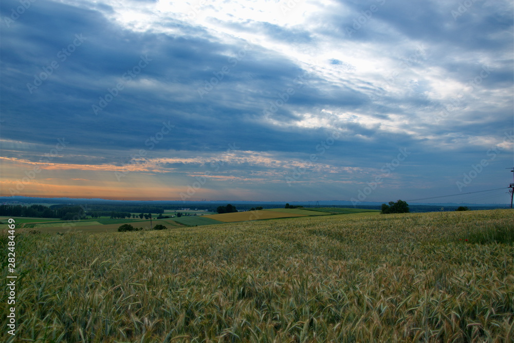 Obraz premium field and blue sky