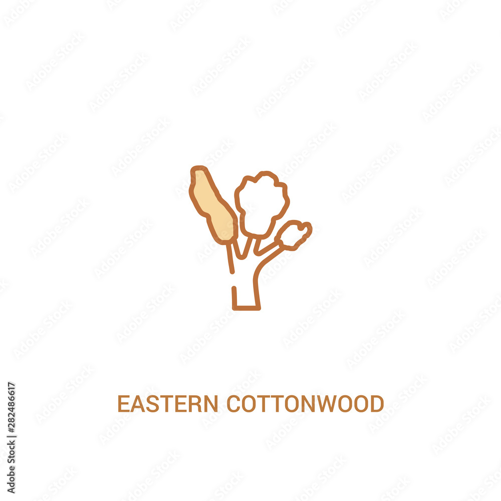 eastern cottonwood tree concept 2 colored icon. simple line element