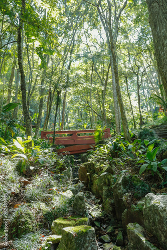 A bridge in the midle of green photo