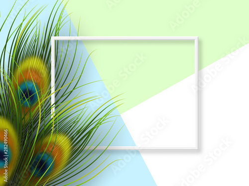 Peacock feathers template. Minimal exotic background with frame and copy space. Vector illustration.