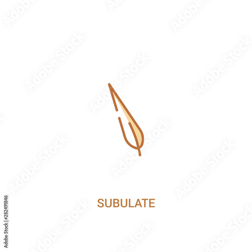 subulate concept 2 colored icon. simple line element illustration. outline brown subulate symbol. can be used for web and mobile ui/ux.