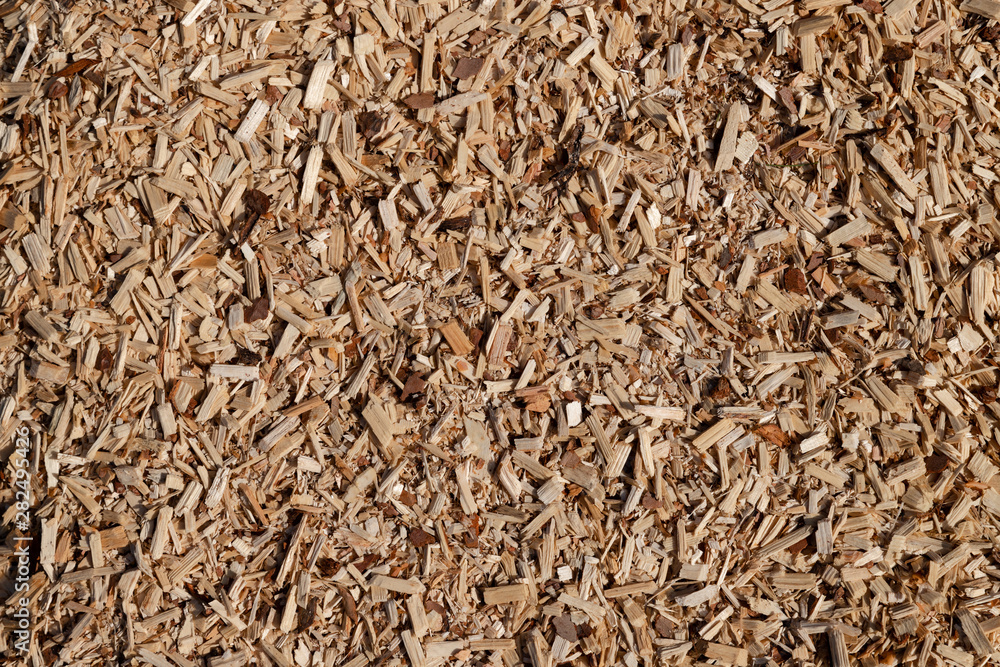 A pile of small sawdust and wood shavings. Abstract textured background for wallpaper in the form of a pattern. A pile of small sawdust and wood shavings. Abstract textured background for wallpaper in the form of a pattern.