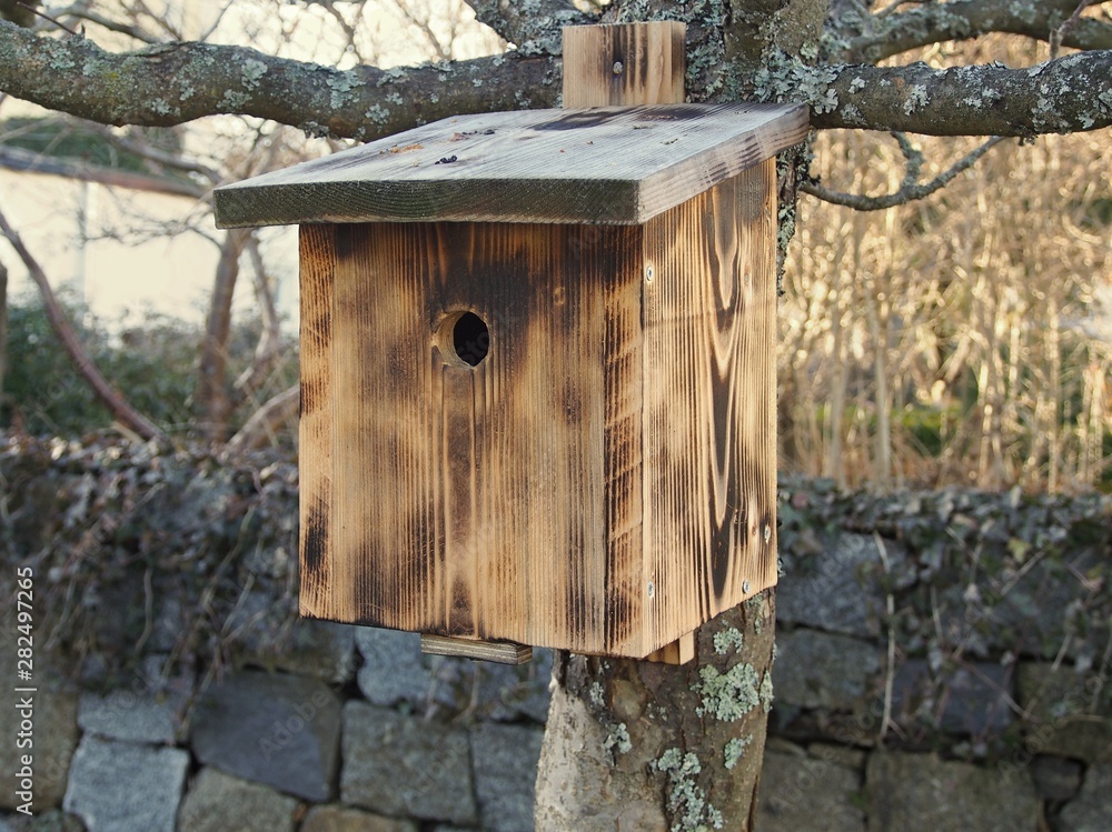 Birdhouse hanging on the apple tree trunk