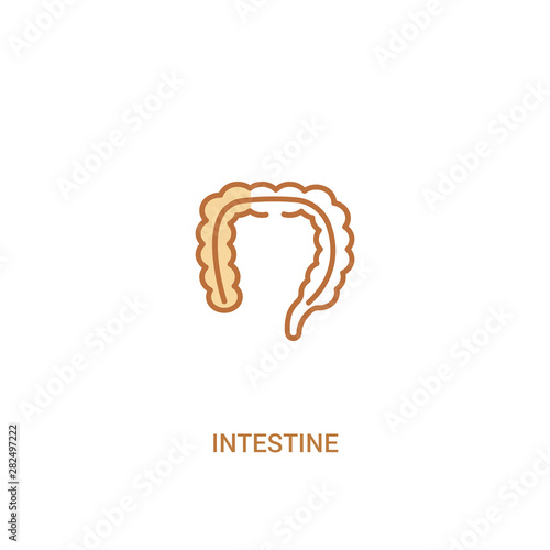 intestine concept 2 colored icon. simple line element illustration. outline brown intestine symbol. can be used for web and mobile ui/ux.