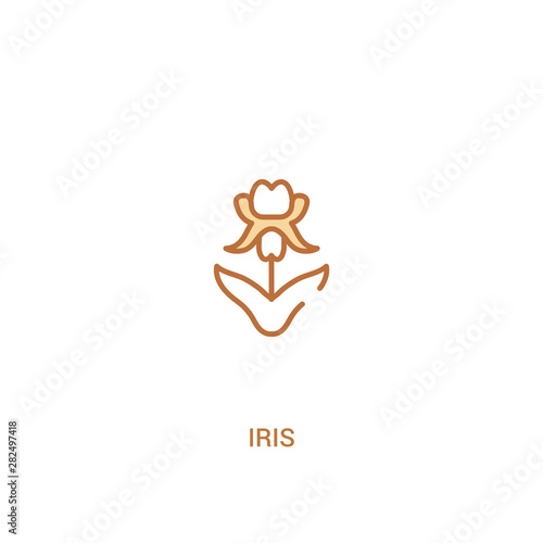 iris concept 2 colored icon. simple line element illustration. outline brown iris symbol. can be used for web and mobile ui/ux.