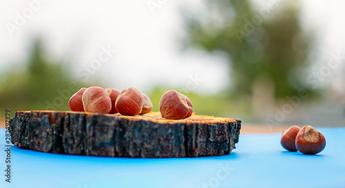 Hazelnuts on a wooden stand on a background of a summer garden close-up. Selective focus.