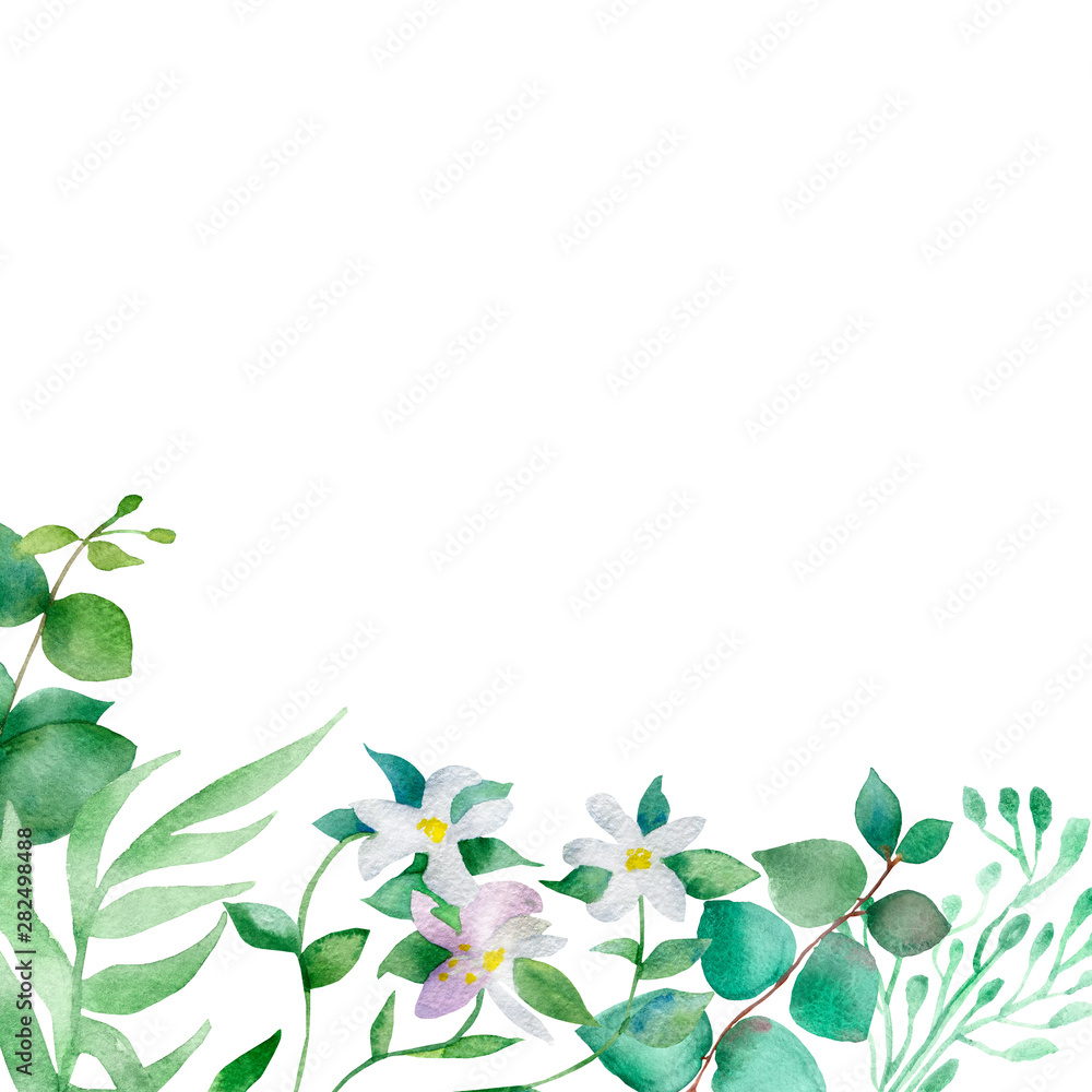 Watercolor hand painted nature composition with green eucalyptus leaves and white blooming bergamot flowers bouquet illustration for invitations and greeting cards Watercolor hand painted nature composition with green eucalyptus leaves and white blooming bergamot flowers bouquet illustration for invitations and greeting cards