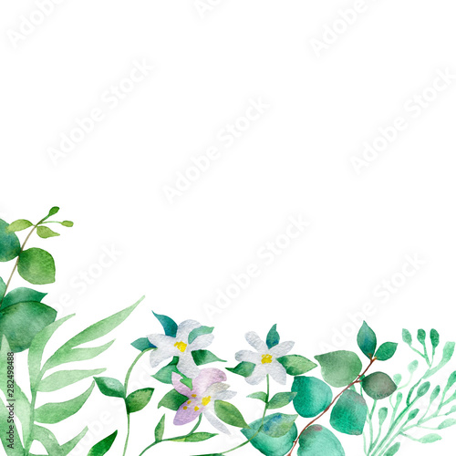 Watercolor hand painted nature composition with green eucalyptus leaves and white blooming bergamot flowers bouquet illustration for invitations and greeting cards