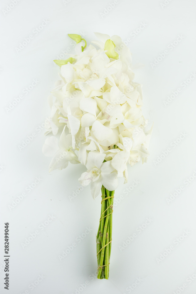 Bouquet white orchid flower  for pray respect to Buddha isolated on white background