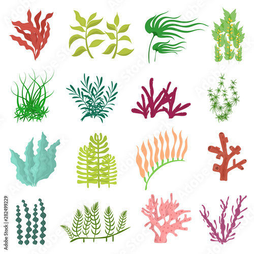 Cartoon Color Different Seaweed Icon Set. Vector