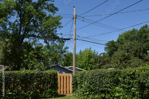 telephone pole photo