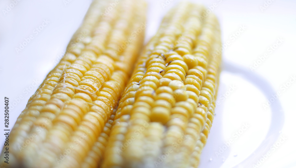 Double sweet corn .on the plate on white background Double sweet corn .on the plate on white background