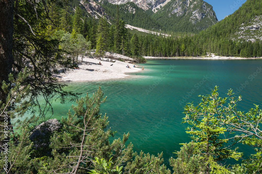 Obraz premium Der Pragser Wildsee mit glasklarem Wasser