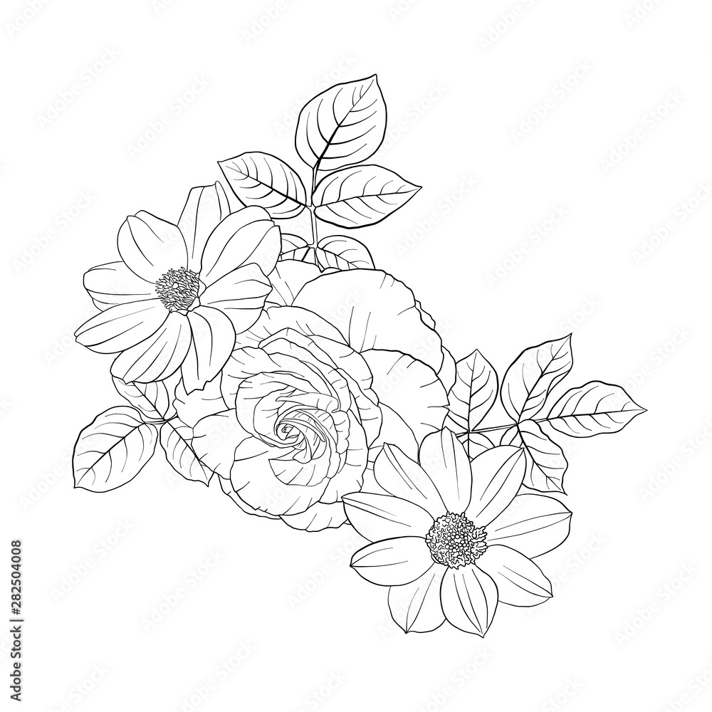 vector drawing flowers vector drawing flowers