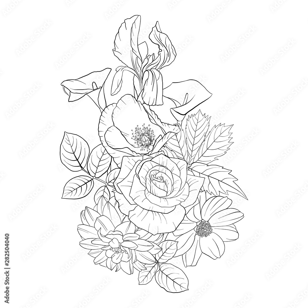 Fototapeta premium vector drawing flowers
