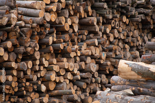 Lumber Log Wood Stock Pile 