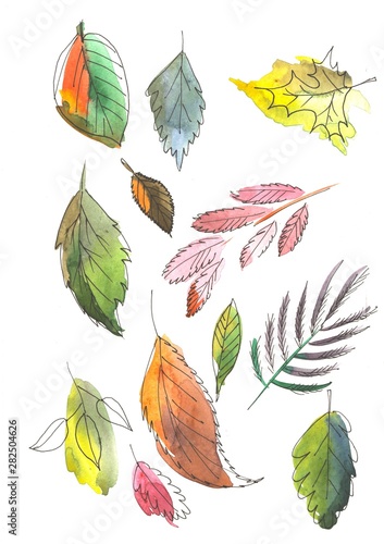 A set of autumn multi-colored leaves. Set Watercolor paintings Isolated on white background.