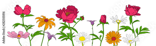 vector drawing flowers
