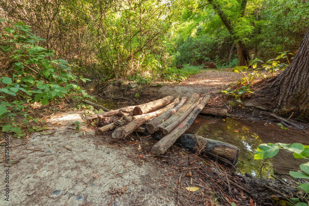 path in the forest / bright summer landscape path in the forest / bright summer landscape