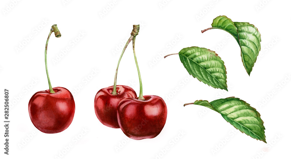 Cherry Red  Food Gallery