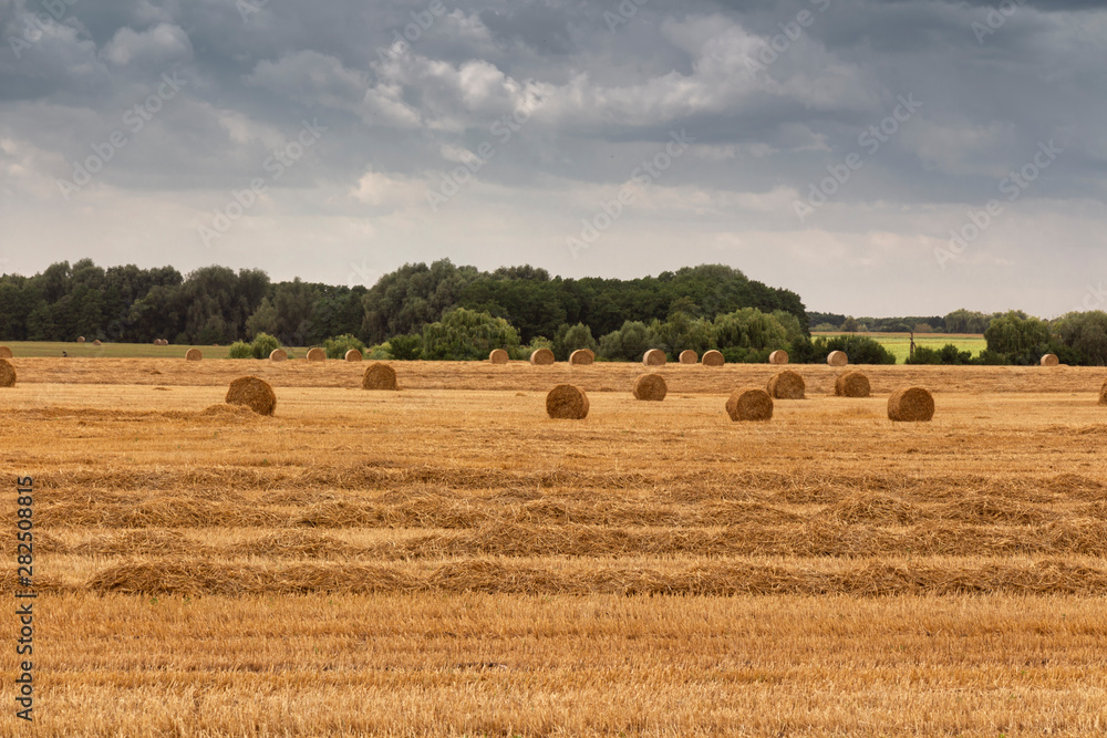 Harvesting