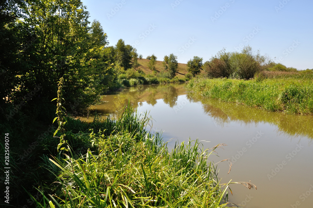 river near lush greenery