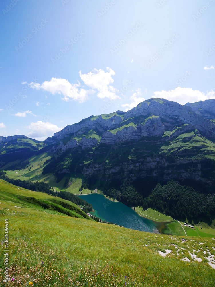 Fototapeta premium Ausblick auf den Seealpsee im Säntismassiv