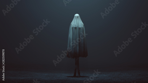 Standing Evil Spirit Ghost with Crossed Legs and Hands by Her Sides in a Death Shroud Sheet in a Foggy Void Front View 3d Illustration 3d Rendering