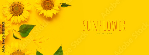 Stampa su tela Beautiful fresh sunflowers on bright yellow background