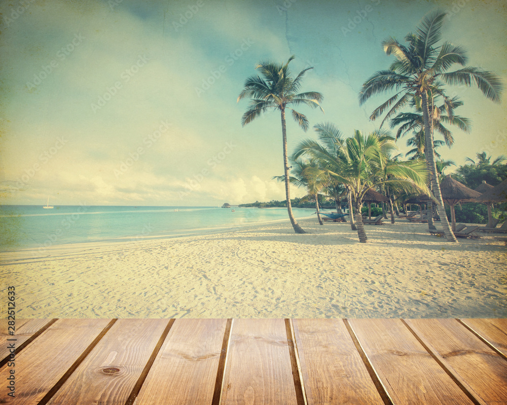 Coconut tree on the sky background-retro styled picture