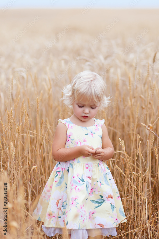 Summer.Portrait of handsome blond girl with blue eyes, face close up at summer time, in the wheat field Summer.Portrait of handsome blond girl with blue eyes, face close up at summer time, in the wheat field