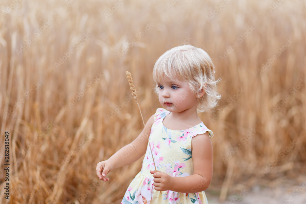 Portrait of handsome blond girl with blue eyes, face close up at summer time, in the wheat field. Happy little girl child in wheat cereal field in summer. Summer. Portrait of handsome blond girl with blue eyes, face close up at summer time, in the wheat field. Happy little girl child in wheat cereal field in summer. Summer.