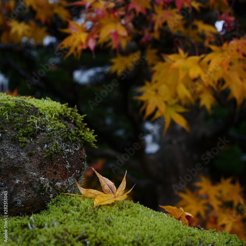 秘密の場所 photo