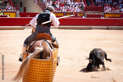 Picador bullfighter on horseback in Pamplona bullring, Spain