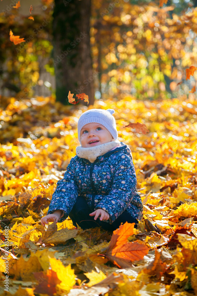 girl watching leaves falling down girl watching leaves falling down