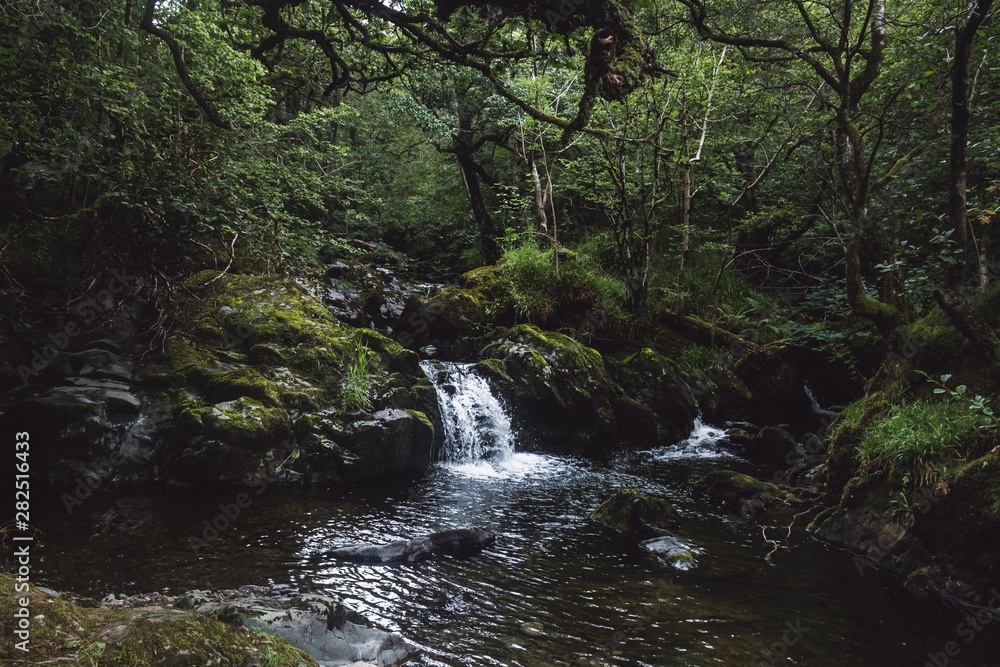 little forest waterfall little forest waterfall
